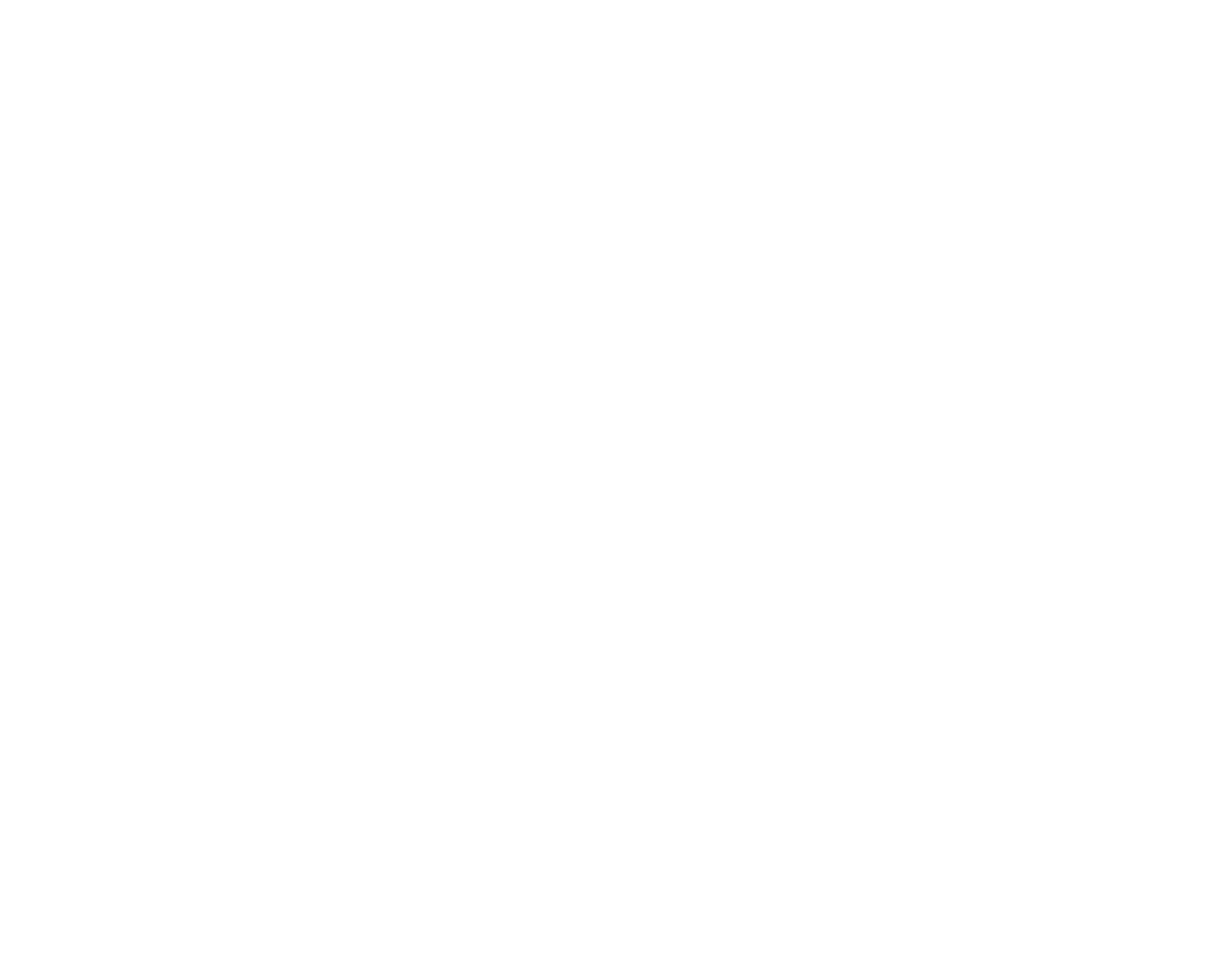 BLACKHAWK SOLUTIONS logo